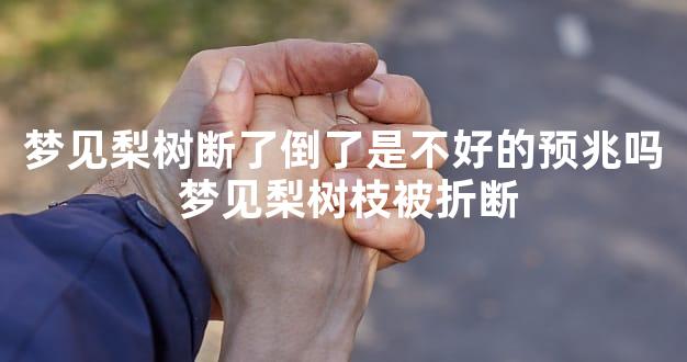 梦见梨树断了倒了是不好的预兆吗 梦见梨树枝被折断